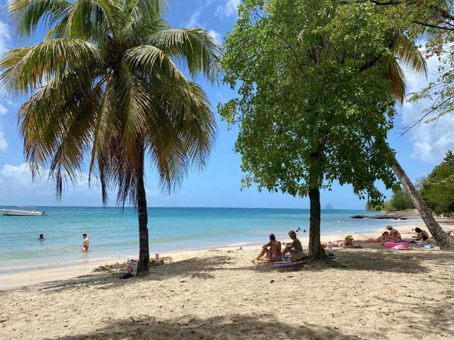 Studio Ti Paradise - Magnifique Vue Mer Et Diamant Sainte-Luce Ngoại thất bức ảnh