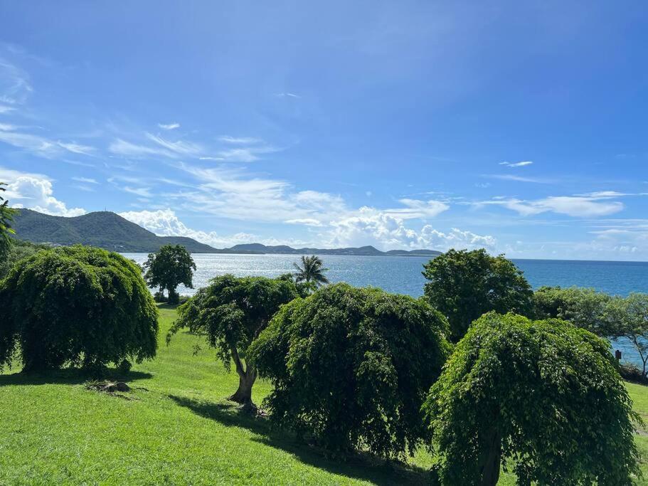Studio Ti Paradise - Magnifique Vue Mer Et Diamant Sainte-Luce Ngoại thất bức ảnh